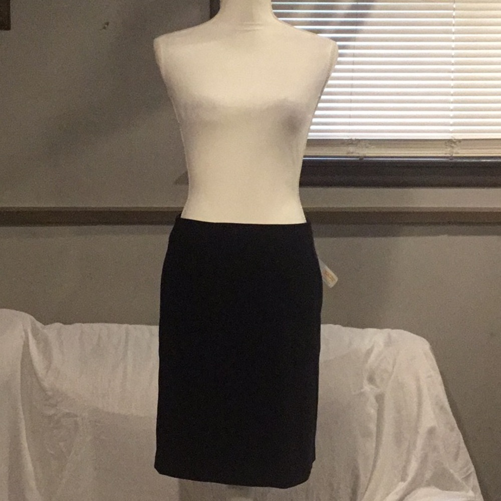 Talbots Skirt